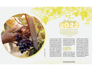 Weinjournal Frühjahr 2023 Der Geschmack des Frühlings