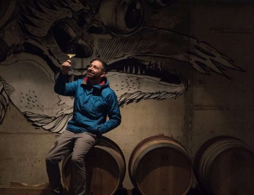 Neumeister – Sauvignon Blanc mit viel Charakter